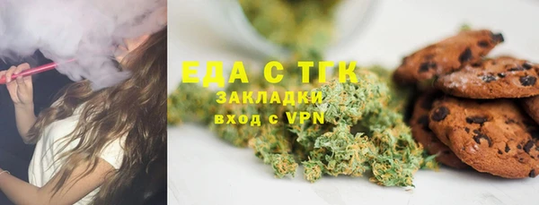 хмурый Алексин