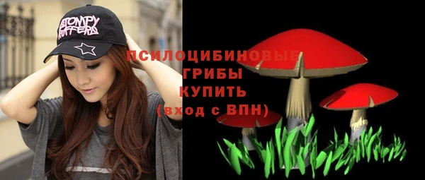 дурь Козловка