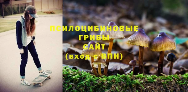 хмурый Алексин
