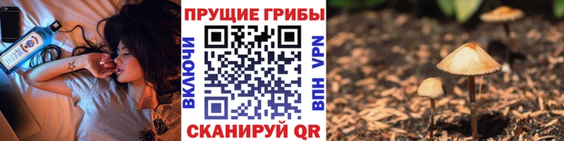 Галлюциногенные грибы мухоморы  Харовск 