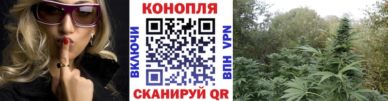 Канабис семена Харовск